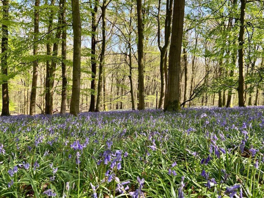 The Chaff House Country Cottage Welsh Newton Common المظهر الخارجي الصورة